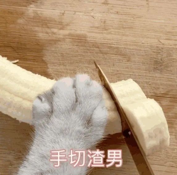 违背祖宗的神医，祖宗可能是太监