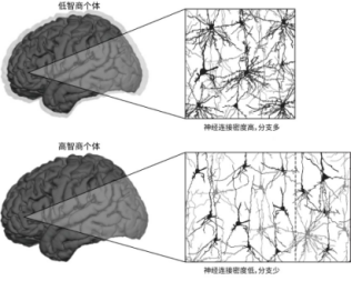 一个方法让你快速入睡，亲测有效