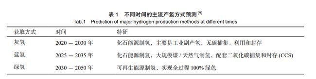 氢能源最全面的看空报告来了！