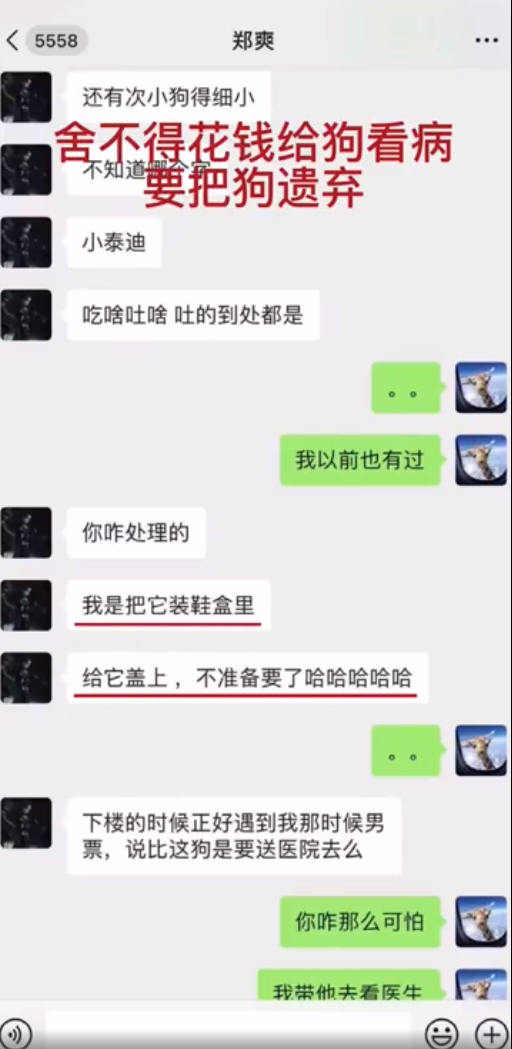 弃养、偷税、虐狗、恨国,郑爽这样的女明星居然日薪208万 弃养、偷税、虐狗、恨国,郑爽这样的女明星居然日薪208万