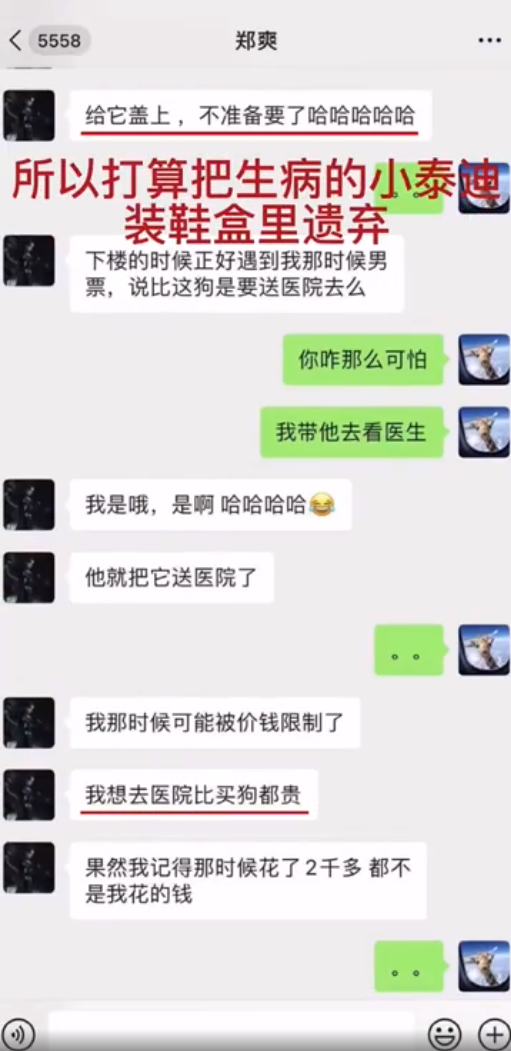 弃养、偷税、虐狗、恨国,郑爽这样的女明星居然日薪208万 弃养、偷税、虐狗、恨国,郑爽这样的女明星居然日薪208万
