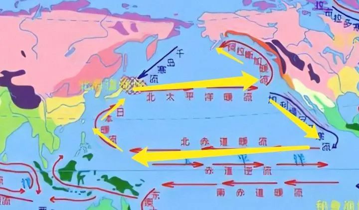 原创 | 外部世界的险恶可能超过你的想象：谈谈日本向太平洋排核废水事件