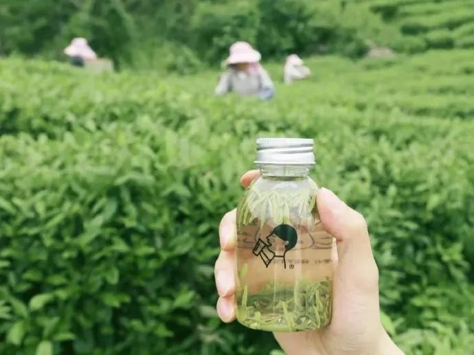 揭露：一杯奶茶卖30块，为什么90%的茶饮店还是亏？