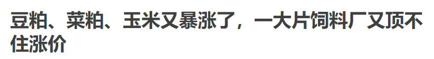 进口激增437.8%：中国不计成本购粮，未来会有大动作？