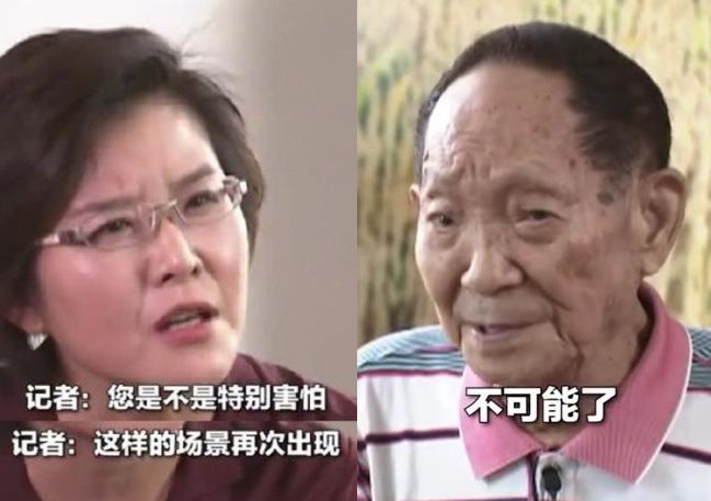 一粒米的史诗