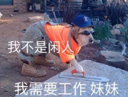 在意奢侈品真假,那就不该买它 在意奢侈品真假,那就不该买它