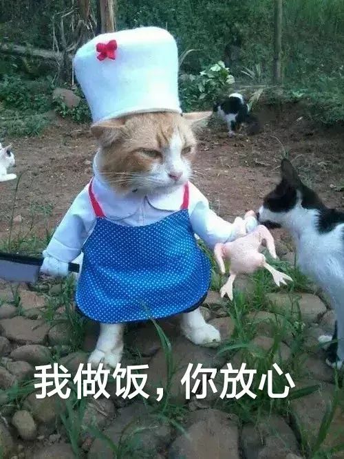 不能复读、强制5:5分流，中考才是真正的一考定终身？