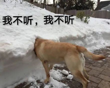在意奢侈品真假,那就不该买它 在意奢侈品真假,那就不该买它