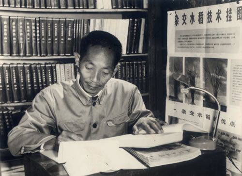 一粒米的史诗