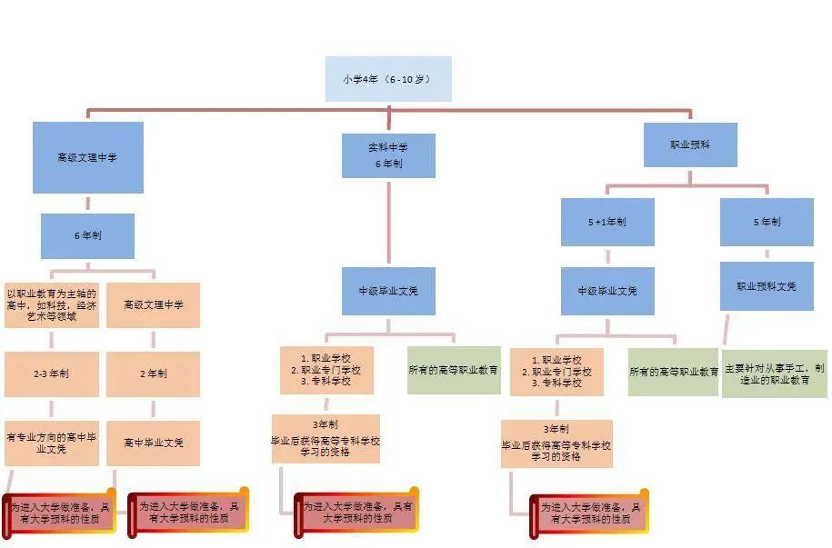 不能复读、强制5:5分流，中考才是真正的一考定终身？