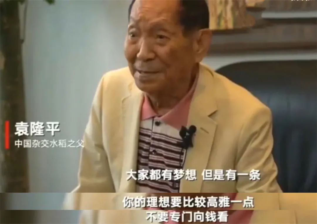 一粒米的史诗