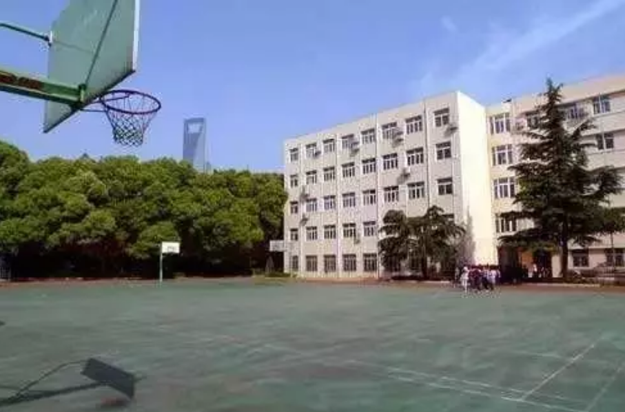 浦东，上海教育的半壁江山 | 上海各区教育格局详解