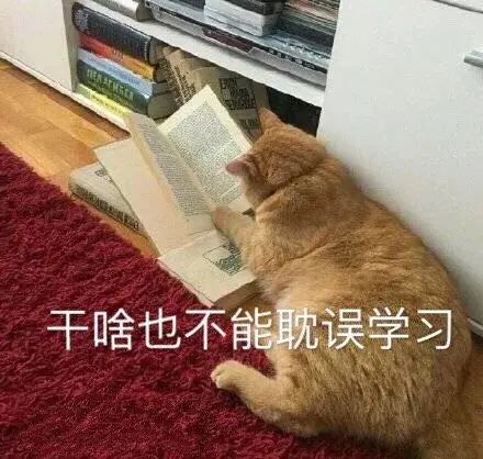 不能复读、强制5:5分流，中考才是真正的一考定终身？