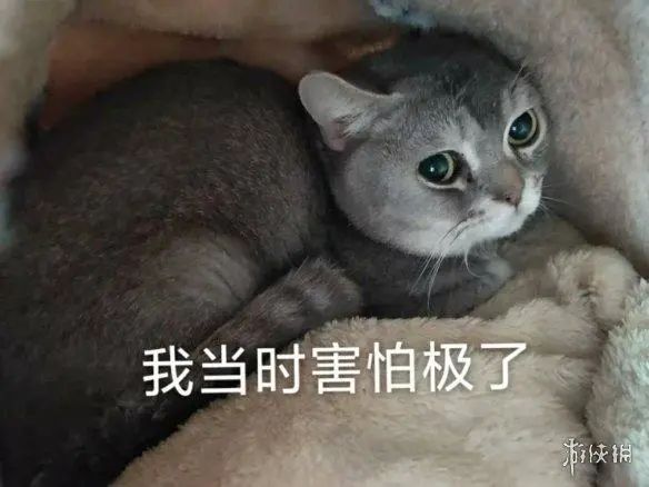 不能复读、强制5:5分流，中考才是真正的一考定终身？