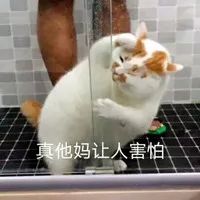不能复读、强制5:5分流，中考才是真正的一考定终身？