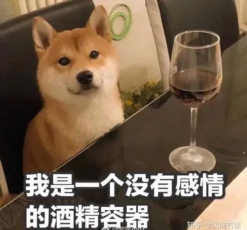 不能复读、强制5:5分流，中考才是真正的一考定终身？