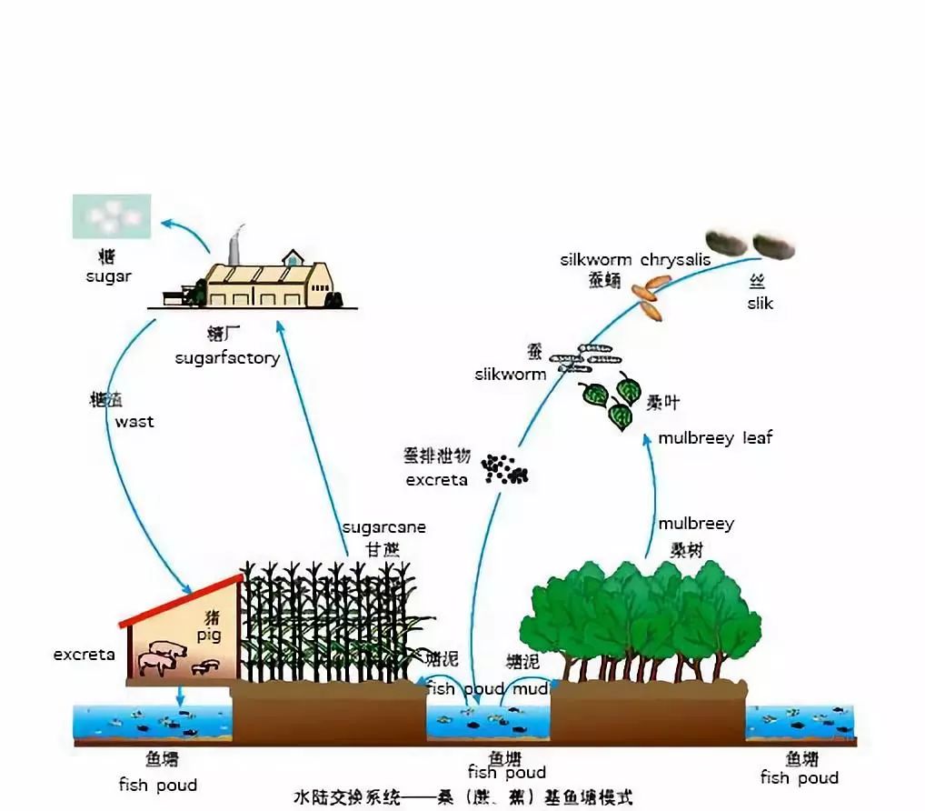 中国是怎么生产这么多粮食，足够养活十多亿人的？是靠进口还是自给自足？