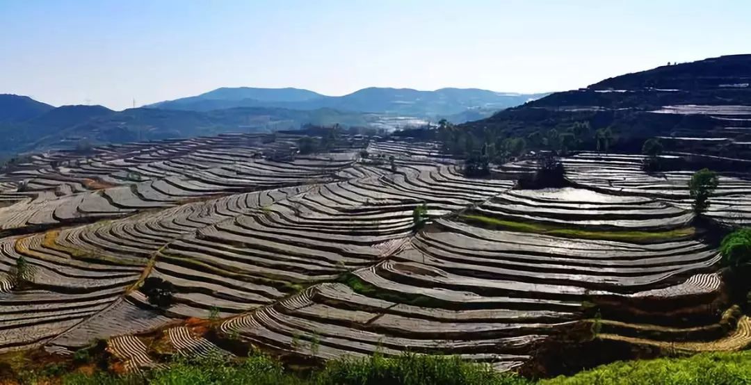 中国是怎么生产这么多粮食，足够养活十多亿人的？是靠进口还是自给自足？