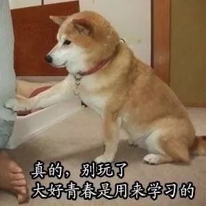 股神林园可能是穿越者 股神林园可能是穿越者