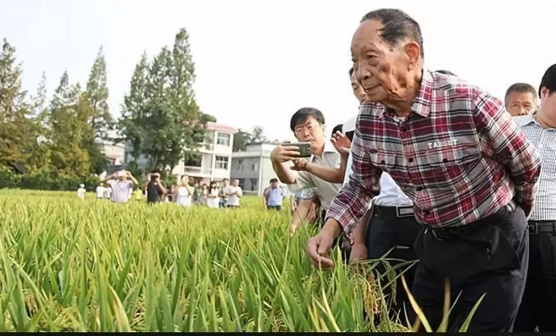 中国是怎么生产这么多粮食，足够养活十多亿人的？是靠进口还是自给自足？