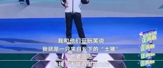 拱倒了白菜又怎样?土猪的良心不会痛吗? 拱倒了白菜又怎样?土猪的良心不会痛吗?