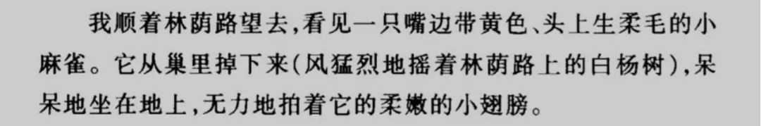 25年资深教师“炮轰”小学语文教材：“有改动”让儿童长年游荡在一个假货市场