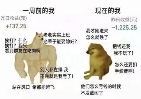 股神林园可能是穿越者 股神林园可能是穿越者
