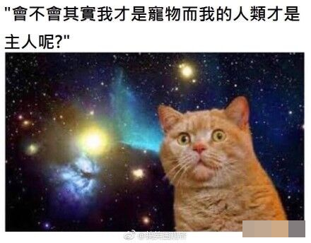 情歌U盘,太暴利了! 情歌U盘,太暴利了!