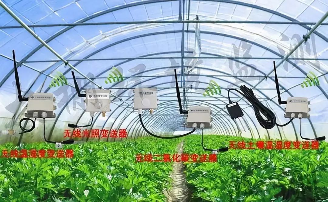 中国是怎么生产这么多粮食,足够养活十多亿人的?是靠进口还是自给自足? 中国是怎么生产这么多粮食,足够养活十多亿人的?是靠进口还是自给自足?
