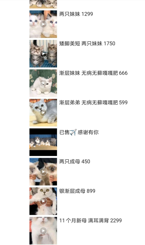 你家的猫，来自地狱