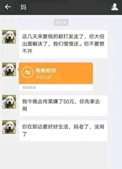 被赌博网站掏空后，硬核赌狗决定反击