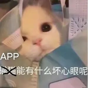 中国人的信息安全掌握在谁的手里？