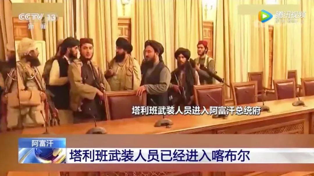 就算是30万只羊，塔利班一个星期也抓不完