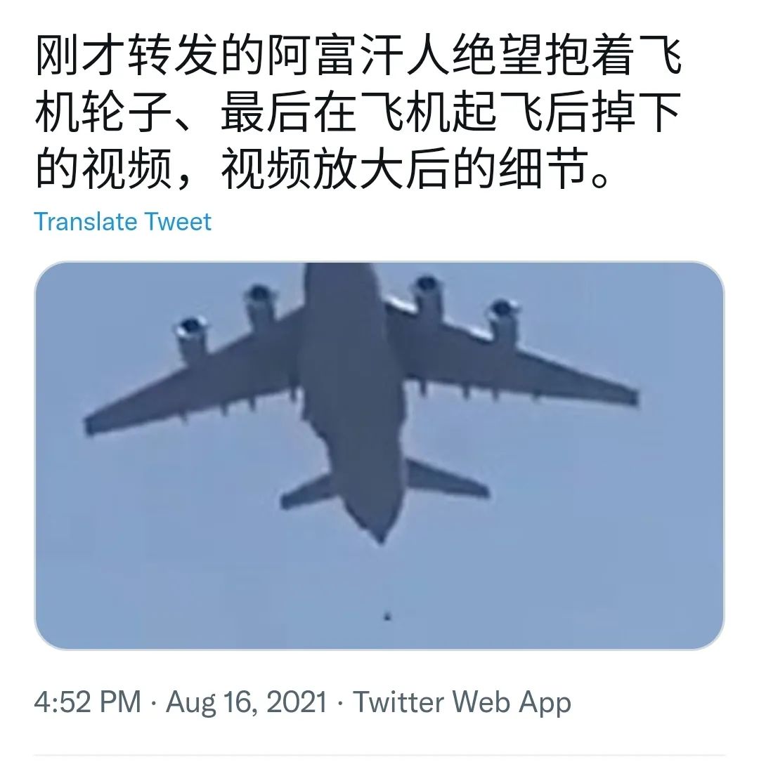 就算是30万只羊，塔利班一个星期也抓不完