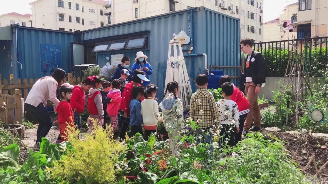 在上海,外地妈妈们抱团养娃 在上海,外地妈妈们抱团养娃