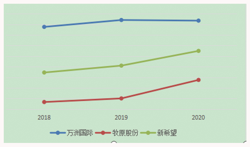 世界“猪王”，晚节难保？