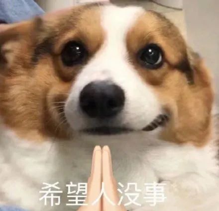 宁德时代做好了最坏的准备 宁德时代做好了最坏的准备