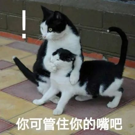 宁德时代做好了最坏的准备 宁德时代做好了最坏的准备
