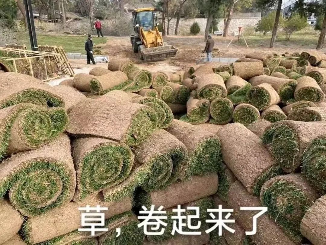 赵本山都得佩服增高针 赵本山都得佩服增高针