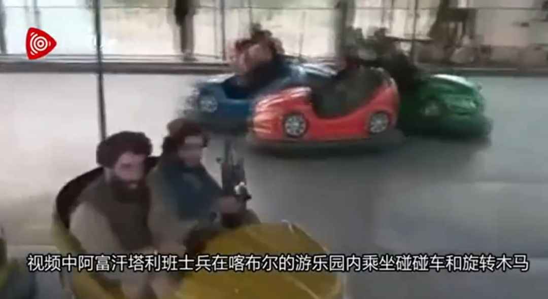 就算是30万只羊，塔利班一个星期也抓不完