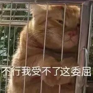 瑞幸痛揍新消费 瑞幸痛揍新消费