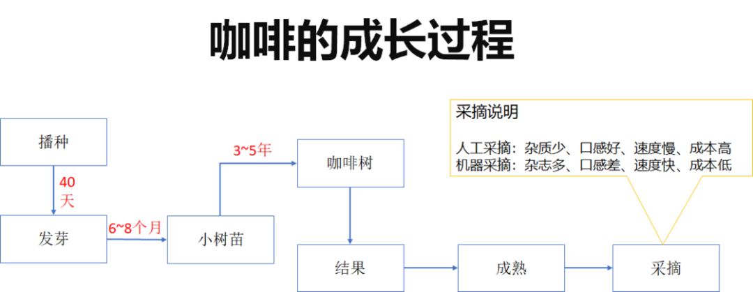 中国咖啡看云南,来了解一下我们自己的「咖啡王国」 中国咖啡看云南,来了解一下我们自己的「咖啡王国」