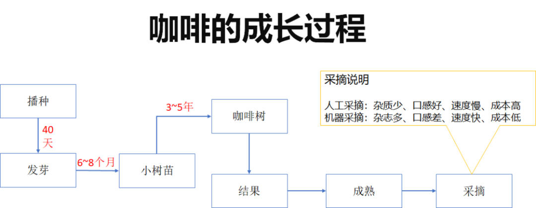 中国咖啡看云南，来了解一下我们自己的「咖啡王国」