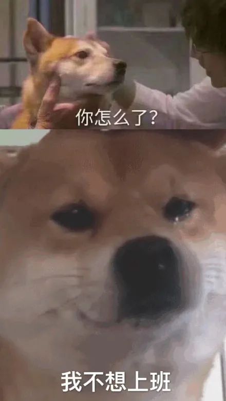 最近买房这事儿,需要好好想想 最近买房这事儿,需要好好想想