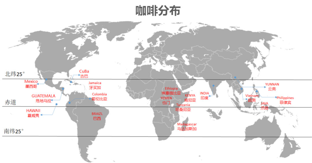 中国咖啡看云南，来了解一下我们自己的「咖啡王国」