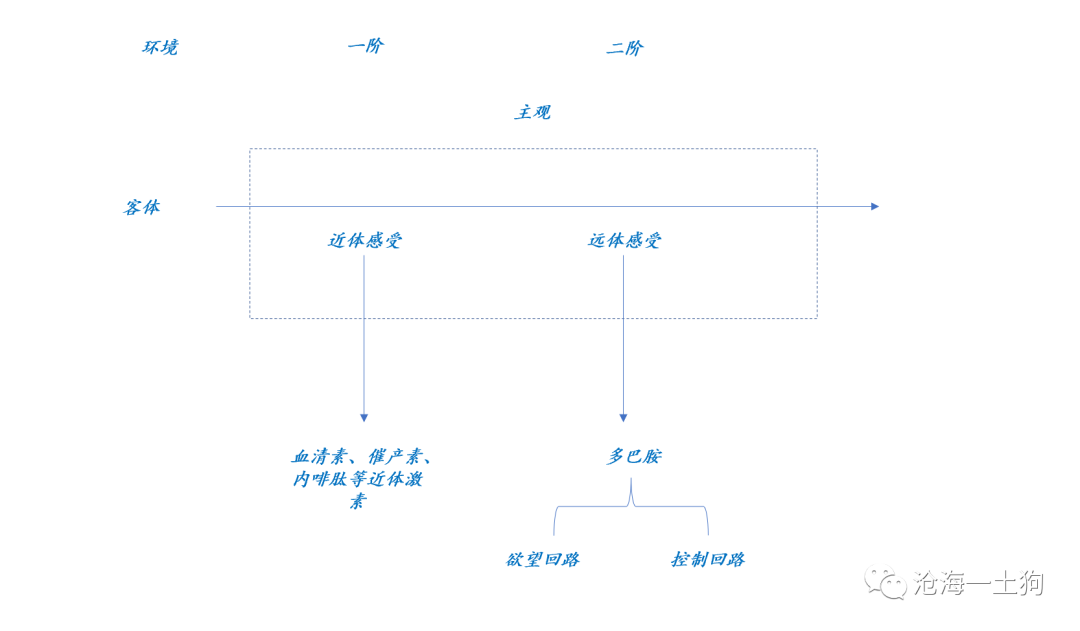 从醉酒现象看景气追逐和景气周期