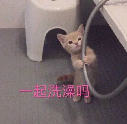 健身房的财富密码是会所? 健身房的财富密码是会所?