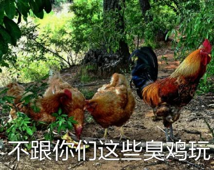 健身房的财富密码是会所? 健身房的财富密码是会所?