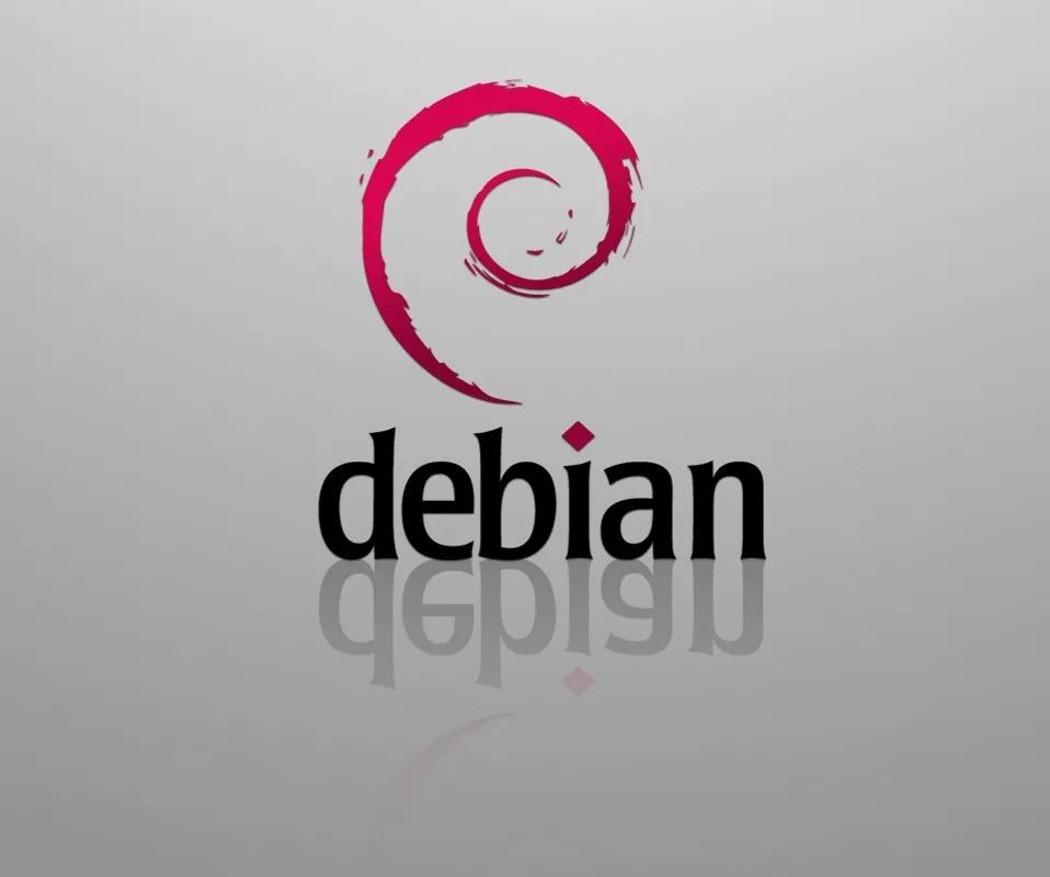 管他Linus还是RMS，Debian就是这么硬气