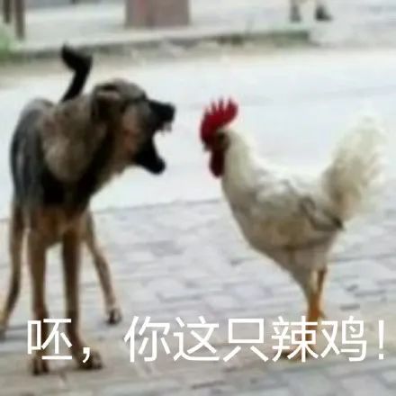 健身房的财富密码是会所? 健身房的财富密码是会所?